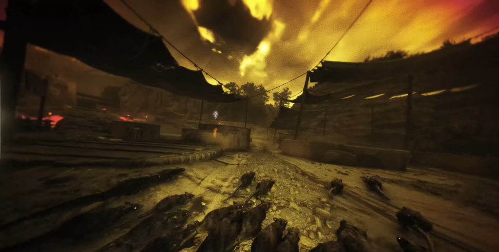 Стая крыс бежит по улице под тентами